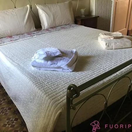 Belvedere Bed & Breakfast *